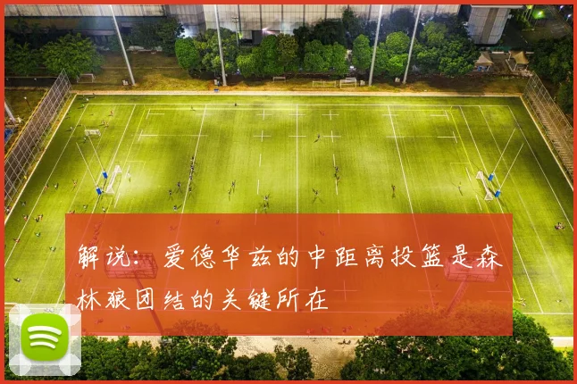 解说：爱德华兹的中距离投篮是森林狼团结的关键所在