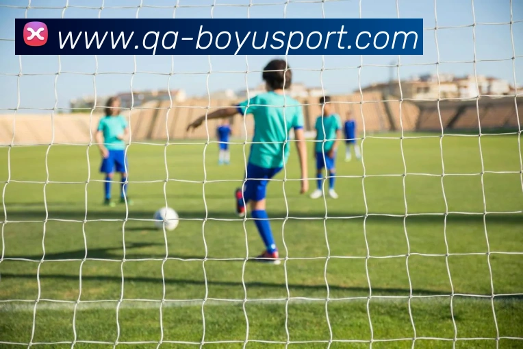 博鱼足球平台生态图